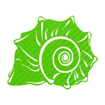 Samolepící dekorace Mušle levá ulita (58 - 3D karbon zelený kawasaki) SAMOLEPKA NA AUTO, NÁLEPKA, FÓLIE, POLEP, TUNING, VLASTNÍ TEXT, TISK, AUTOSAMOLEPKY.cz, POLEPY, OBRÁZEK, LOGO, 3D STICKERS