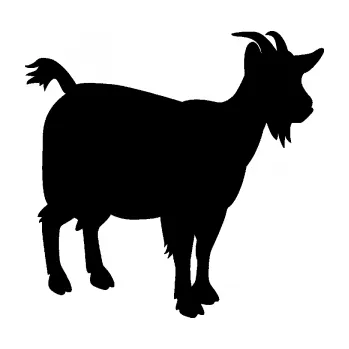 Samolepící dekorace SAMOLEPKA Koza 001 pravá (01 - černá) NA AUTO, NÁLEPKA, FÓLIE, POLEP, TUNING, VLASTNÍ TEXT, TISK, AUTOSAMOLEPKY.cz, POLEPY, OBRÁZEK, LOGO, SAMOLEPKY