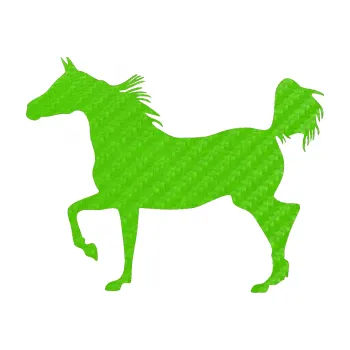 Samolepící dekorace SAMOLEPKA Kůň 009 levá (58 - 3D karbon zelený kawasaki) NA AUTO, NÁLEPKA, FÓLIE, POLEP, TUNING, VLASTNÍ TEXT, TISK, AUTOSAMOLEPKY.cz, POLEPY, OBRÁZEK, LOGO, SAMOLEPKY