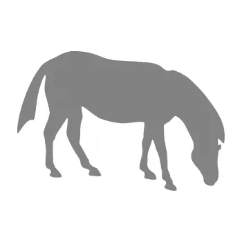 Samolepící dekorace SAMOLEPKA Kůň 006 pravá na pastvě (17 - šedá) NA AUTO, NÁLEPKA, FÓLIE, POLEP, TUNING, VLASTNÍ TEXT, TISK, AUTOSAMOLEPKY.cz, POLEPY, OBRÁZEK, LOGO, SAMOLEPKY