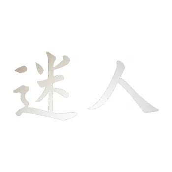 Polep vozidla SAMOLEPKA Čínský znak Attractive (82 - odrazková reflexní bílá) NA AUTO, NÁLEPKA, FÓLIE, POLEP, TUNING, VLASTNÍ TEXT, TISK, AUTOSAMOLEPKY.cz, POLEPY, OBRÁZEK, LOGO, SAMOLEPKY