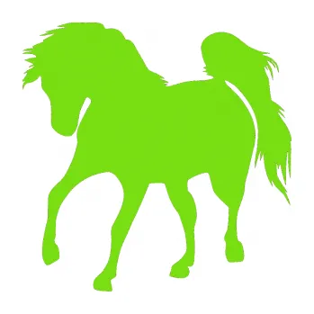 Samolepící dekorace Kůň 032 levá (04 - zelená kawasaki) SAMOLEPKA NA AUTO, NÁLEPKA, FÓLIE, POLEP, TUNING, VLASTNÍ TEXT, TISK, AUTOSAMOLEPKY.cz, POLEPY, OBRÁZEK, LOGO, 3D STICKERS