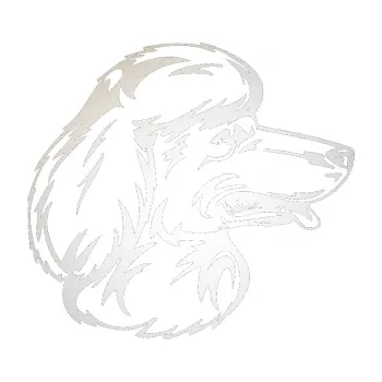 Polep vozidla SAMOLEPKA Pes 013 pravá Pudl (82 - odrazková reflexní bílá) NA AUTO, NÁLEPKA, FÓLIE, POLEP, TUNING, VLASTNÍ TEXT, TISK, AUTOSAMOLEPKY.cz, POLEPY, OBRÁZEK, LOGO, SAMOLEPKY