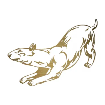 Polep vozidla SAMOLEPKA Pes 009 levá (64 - škrábaný kov zlatý) NA AUTO, NÁLEPKA, FÓLIE, POLEP, TUNING, VLASTNÍ TEXT, TISK, AUTOSAMOLEPKY.cz, POLEPY, OBRÁZEK, LOGO, SAMOLEPKY