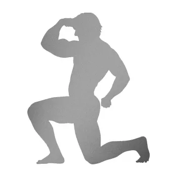 Polep vozidla Kulturista 007 levá (42 - stříbrná metalíza) SAMOLEPKA NA AUTO, NÁLEPKA, FÓLIE, POLEP, TUNING, VLASTNÍ TEXT, TISK, AUTOSAMOLEPKY.cz, POLEPY, OBRÁZEK, LOGO, 3D STICKERS