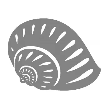 Samolepící dekorace SAMOLEPKA Mušle 004 pravá ulita (17 - šedá) NA AUTO, NÁLEPKA, FÓLIE, POLEP, TUNING, VLASTNÍ TEXT, TISK, AUTOSAMOLEPKY.cz, POLEPY, OBRÁZEK, LOGO, SAMOLEPKY