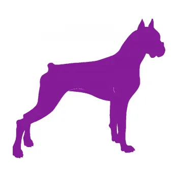 Polep vozidla SAMOLEPKA Pes 087 pravá Boxer (14 - fialová) NA AUTO, NÁLEPKA, FÓLIE, POLEP, TUNING, VLASTNÍ TEXT, TISK, AUTOSAMOLEPKY.cz, POLEPY, OBRÁZEK, LOGO, SAMOLEPKY
