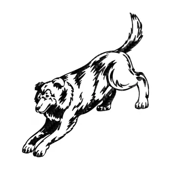 Polep vozidla SAMOLEPKA Pes 044 levá (50 - 3D karbon černý) NA AUTO, NÁLEPKA, FÓLIE, POLEP, TUNING, VLASTNÍ TEXT, TISK, AUTOSAMOLEPKY.cz, POLEPY, OBRÁZEK, LOGO, SAMOLEPKY