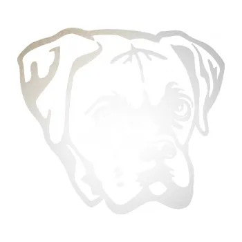 Polep vozidla Pes 160 pravá boxer (82 - odrazková reflexní bílá) SAMOLEPKA NA AUTO, NÁLEPKA, FÓLIE, POLEP, TUNING, VLASTNÍ TEXT, TISK, AUTOSAMOLEPKY.cz, POLEPY, OBRÁZEK, LOGO, 3D STICKERS