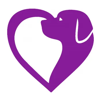 Polep vozidla SAMOLEPKA Pes 105 pravá v srdíčku (14 - fialová) NA AUTO, NÁLEPKA, FÓLIE, POLEP, TUNING, VLASTNÍ TEXT, TISK, AUTOSAMOLEPKY.cz, POLEPY, OBRÁZEK, LOGO, SAMOLEPKY