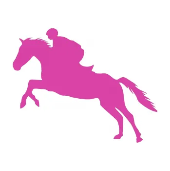 Samolepící dekorace Kůň 019 levá jezdec v sedle (16 - růžová) SAMOLEPKA NA AUTO, NÁLEPKA, FÓLIE, POLEP, TUNING, VLASTNÍ TEXT, TISK, AUTOSAMOLEPKY.cz, POLEPY, OBRÁZEK, LOGO, 3D STICKERS