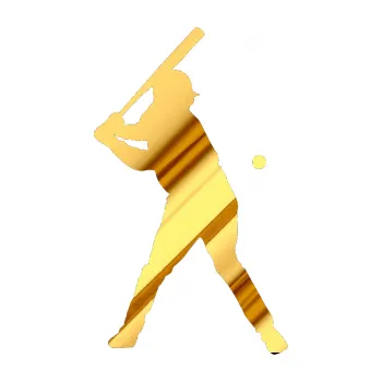 Samolepicí dekorace na vozidlo Baseball 013 pravá (81 - chrom fólie zlatá zrcadlová) SAMOLEPKA NA AUTO, NÁLEPKA, FÓLIE, POLEP, TUNING, VLASTNÍ TEXT, TISK, AUTOSAMOLEPKY.cz, POLEPY, OBRÁZEK, LOGO, 3D STICKERS