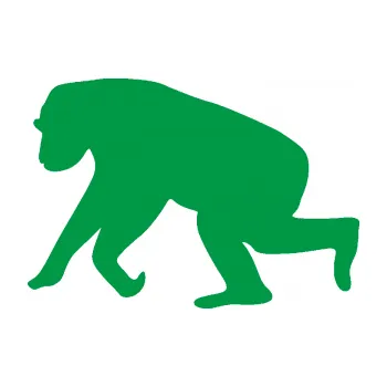 Samolepící dekorace Opice 001 levá (12 - zelená) SAMOLEPKA NA AUTO, NÁLEPKA, FÓLIE, POLEP, TUNING, VLASTNÍ TEXT, TISK, AUTOSAMOLEPKY.cz, POLEPY, OBRÁZEK, LOGO, 3D STICKERS