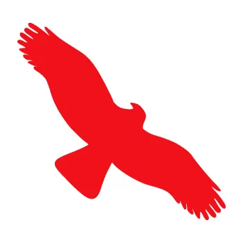 Samolepící dekorace SAMOLEPKA Dravec na sklo 001 pravá (10 - červená) NA AUTO, NÁLEPKA, FÓLIE, POLEP, TUNING, VLASTNÍ TEXT, TISK, AUTOSAMOLEPKY.cz, POLEPY, OBRÁZEK, LOGO, SAMOLEPKY