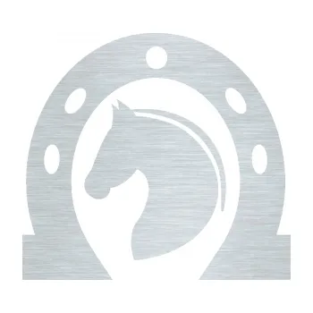 Samolepící dekorace Kůň 034 levá podkova (61 - škrábaný hliník) SAMOLEPKA NA AUTO, NÁLEPKA, FÓLIE, POLEP, TUNING, VLASTNÍ TEXT, TISK, AUTOSAMOLEPKY.cz, POLEPY, OBRÁZEK, LOGO, 3D STICKERS