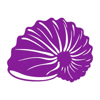 Samolepící dekorace Mušle 002 levá ulita (14 - fialová) SAMOLEPKA NA AUTO, NÁLEPKA, FÓLIE, POLEP, TUNING, VLASTNÍ TEXT, TISK, AUTOSAMOLEPKY.cz, POLEPY, OBRÁZEK, LOGO, 3D STICKERS