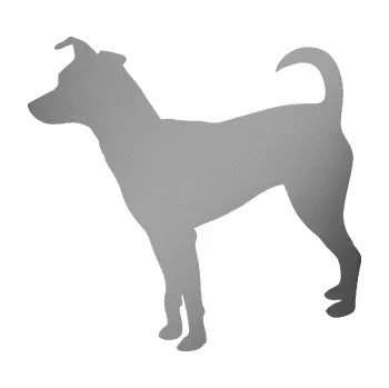 Polep vozidla SAMOLEPKA Pes 100 levá Pražský krysařík (42 - stříbrná metalíza) NA AUTO, NÁLEPKA, FÓLIE, POLEP, TUNING, VLASTNÍ TEXT, TISK, AUTOSAMOLEPKY.cz, POLEPY, OBRÁZEK, LOGO, SAMOLEPKY