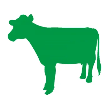 Samolepící dekorace Kráva 001 levá (12 - zelená) SAMOLEPKA NA AUTO, NÁLEPKA, FÓLIE, POLEP, TUNING, VLASTNÍ TEXT, TISK, AUTOSAMOLEPKY.cz, POLEPY, OBRÁZEK, LOGO, 3D STICKERS