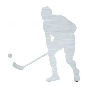 Samolepicí dekorace na vozidlo Florbal 002 levá (61 - škrábaný hliník) SAMOLEPKA NA AUTO, NÁLEPKA, FÓLIE, POLEP, TUNING, VLASTNÍ TEXT, TISK, AUTOSAMOLEPKY.cz, POLEPY, OBRÁZEK, LOGO, 3D STICKERS