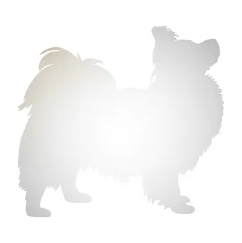 Polep vozidla SAMOLEPKA Pes 149 pravá papillon (82 - odrazková reflexní bílá) NA AUTO, NÁLEPKA, FÓLIE, POLEP, TUNING, VLASTNÍ TEXT, TISK, AUTOSAMOLEPKY.cz, POLEPY, OBRÁZEK, LOGO, SAMOLEPKY