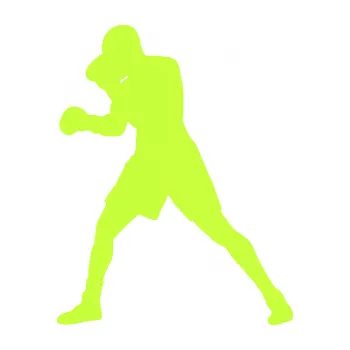 Samolepicí dekorace na vozidlo Boxer 001 levá (27 - limetová) SAMOLEPKA NA AUTO, NÁLEPKA, FÓLIE, POLEP, TUNING, VLASTNÍ TEXT, TISK, AUTOSAMOLEPKY.cz, POLEPY, OBRÁZEK, LOGO, 3D STICKERS