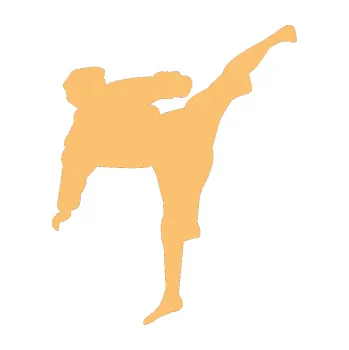 Polep vozidla Karate 009 pravá (08 - béžová) SAMOLEPKA NA AUTO, NÁLEPKA, FÓLIE, POLEP, TUNING, VLASTNÍ TEXT, TISK, AUTOSAMOLEPKY.cz, POLEPY, OBRÁZEK, LOGO, 3D STICKERS