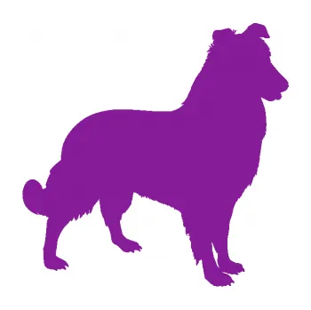 Polep vozidla SAMOLEPKA Pes 084 pravá Kolie (14 - fialová) NA AUTO, NÁLEPKA, FÓLIE, POLEP, TUNING, VLASTNÍ TEXT, TISK, AUTOSAMOLEPKY.cz, POLEPY, OBRÁZEK, LOGO, SAMOLEPKY