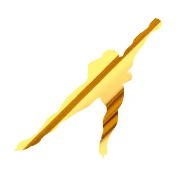 Polep vozidla Rychlobruslení pravá (81 - chrom fólie zlatá zrcadlová) SAMOLEPKA NA AUTO, NÁLEPKA, FÓLIE, POLEP, TUNING, VLASTNÍ TEXT, TISK, AUTOSAMOLEPKY.cz, POLEPY, OBRÁZEK, LOGO, 3D STICKERS