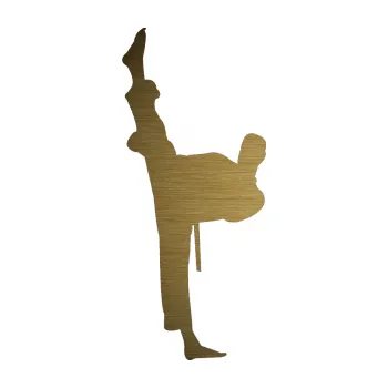 Polep vozidla SAMOLEPKA Karate 005 levá (64 - škrábaný kov zlatý) NA AUTO, NÁLEPKA, FÓLIE, POLEP, TUNING, VLASTNÍ TEXT, TISK, AUTOSAMOLEPKY.cz, POLEPY, OBRÁZEK, LOGO, SAMOLEPKY