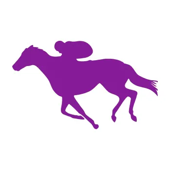 Samolepící dekorace Kůň 027 levá závodí s jezdcem (14 - fialová) SAMOLEPKA NA AUTO, NÁLEPKA, FÓLIE, POLEP, TUNING, VLASTNÍ TEXT, TISK, AUTOSAMOLEPKY.cz, POLEPY, OBRÁZEK, LOGO, 3D STICKERS