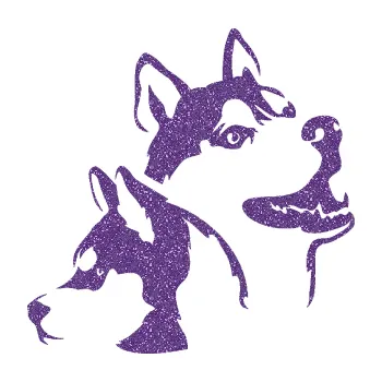 Polep vozidla Pes 117 pravá husky (87 - Ultra Metalic fialová) SAMOLEPKA NA AUTO, NÁLEPKA, FÓLIE, POLEP, TUNING, VLASTNÍ TEXT, TISK, AUTOSAMOLEPKY.cz, POLEPY, OBRÁZEK, LOGO, 3D STICKERS