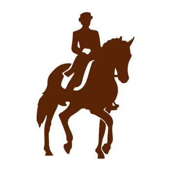 Samolepící dekorace Kůň drezura pravá (15 - hnědá) SAMOLEPKA NA AUTO, NÁLEPKA, FÓLIE, POLEP, TUNING, VLASTNÍ TEXT, TISK, AUTOSAMOLEPKY.cz, POLEPY, OBRÁZEK, LOGO, 3D STICKERS