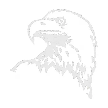 Samolepicí dekorace na vozidlo Orel 001 levá (84 - Ultra Metalic bílá) SAMOLEPKA NA AUTO, NÁLEPKA, FÓLIE, POLEP, TUNING, VLASTNÍ TEXT, TISK, AUTOSAMOLEPKY.cz, POLEPY, OBRÁZEK, LOGO, 3D STICKERS