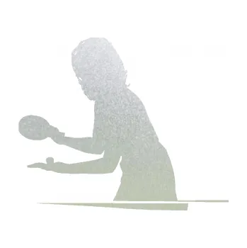 Polep vozidla Ping pong 005 levá (60 - pískované sklo) SAMOLEPKA NA AUTO, NÁLEPKA, FÓLIE, POLEP, TUNING, VLASTNÍ TEXT, TISK, AUTOSAMOLEPKY.cz, POLEPY, OBRÁZEK, LOGO, 3D STICKERS