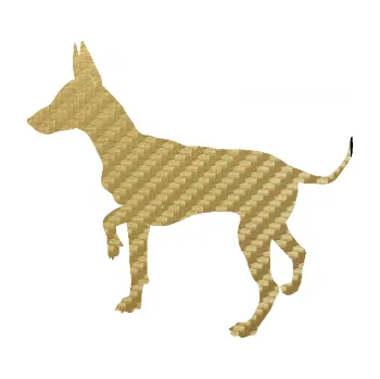 Polep vozidla SAMOLEPKA Pes 093 levá Pražský krysařík (59 - 3D karbon zlatý) NA AUTO, NÁLEPKA, FÓLIE, POLEP, TUNING, VLASTNÍ TEXT, TISK, AUTOSAMOLEPKY.cz, POLEPY, OBRÁZEK, LOGO, SAMOLEPKY