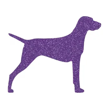 Polep vozidla SAMOLEPKA Pes 052 pravá Ohař (87 - Ultra Metalic fialová) NA AUTO, NÁLEPKA, FÓLIE, POLEP, TUNING, VLASTNÍ TEXT, TISK, AUTOSAMOLEPKY.cz, POLEPY, OBRÁZEK, LOGO, SAMOLEPKY