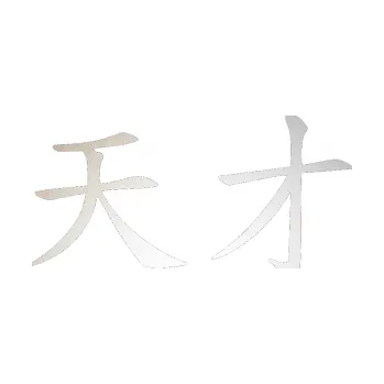 Polep vozidla SAMOLEPKA Čínský znak Genius (82 - odrazková reflexní bílá) NA AUTO, NÁLEPKA, FÓLIE, POLEP, TUNING, VLASTNÍ TEXT, TISK, AUTOSAMOLEPKY.cz, POLEPY, OBRÁZEK, LOGO, SAMOLEPKY