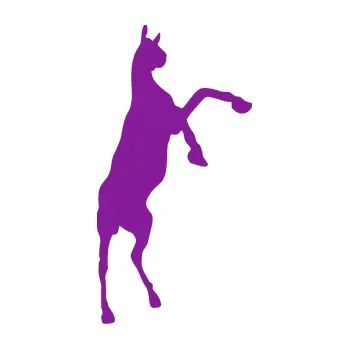 Samolepící dekorace Kůň 016 pravá (14 - fialová) SAMOLEPKA NA AUTO, NÁLEPKA, FÓLIE, POLEP, TUNING, VLASTNÍ TEXT, TISK, AUTOSAMOLEPKY.cz, POLEPY, OBRÁZEK, LOGO, 3D STICKERS