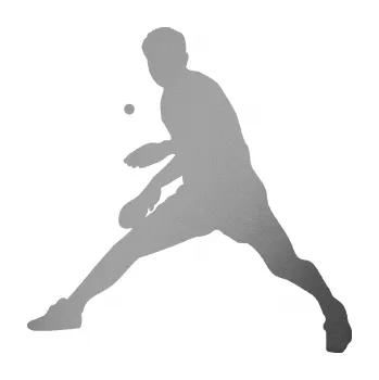 Polep vozidla Ping pong 002 levá (42 - stříbrná metalíza) SAMOLEPKA NA AUTO, NÁLEPKA, FÓLIE, POLEP, TUNING, VLASTNÍ TEXT, TISK, AUTOSAMOLEPKY.cz, POLEPY, OBRÁZEK, LOGO, 3D STICKERS