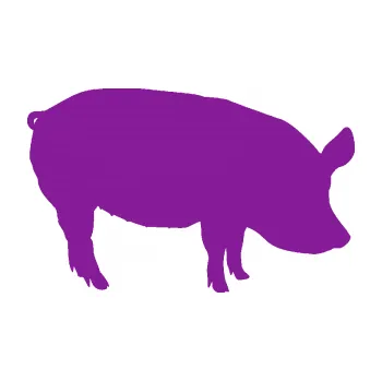 Samolepící dekorace Prase 001 pravá (14 - fialová) SAMOLEPKA NA AUTO, NÁLEPKA, FÓLIE, POLEP, TUNING, VLASTNÍ TEXT, TISK, AUTOSAMOLEPKY.cz, POLEPY, OBRÁZEK, LOGO, 3D STICKERS