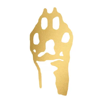 samolepka Packa 001 levá (43 - zlatá metalíza) SAMOLEPKA NA AUTO, NÁLEPKA, FÓLIE, POLEP, TUNING, VLASTNÍ TEXT, TISK, AUTOSAMOLEPKY.cz, POLEPY, OBRÁZEK, LOGO, 3D STICKERS