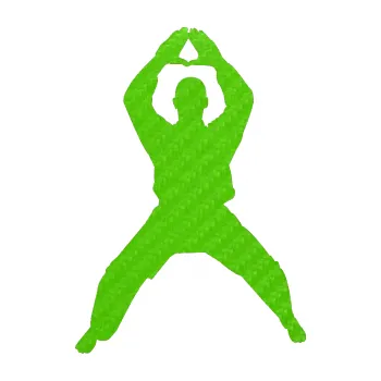 Polep vozidla Karate 003 levá (58 - 3D karbon zelený kawasaki) SAMOLEPKA NA AUTO, NÁLEPKA, FÓLIE, POLEP, TUNING, VLASTNÍ TEXT, TISK, AUTOSAMOLEPKY.cz, POLEPY, OBRÁZEK, LOGO, 3D STICKERS