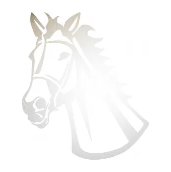 Samolepící dekorace Kůň 044 levá (82 - odrazková reflexní bílá) SAMOLEPKA NA AUTO, NÁLEPKA, FÓLIE, POLEP, TUNING, VLASTNÍ TEXT, TISK, AUTOSAMOLEPKY.cz, POLEPY, OBRÁZEK, LOGO, 3D STICKERS
