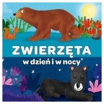 První čtění Kapitan Nauka. Harmonijka. Zwierzęta w dzień i w.. - praca zbiorowa