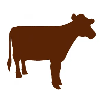 Samolepící dekorace Kráva 001 pravá (15 - hnědá) SAMOLEPKA NA AUTO, NÁLEPKA, FÓLIE, POLEP, TUNING, VLASTNÍ TEXT, TISK, AUTOSAMOLEPKY.cz, POLEPY, OBRÁZEK, LOGO, 3D STICKERS