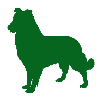 Polep vozidla SAMOLEPKA Pes 084 levá Kolie (20 - tmavě zelená) NA AUTO, NÁLEPKA, FÓLIE, POLEP, TUNING, VLASTNÍ TEXT, TISK, AUTOSAMOLEPKY.cz, POLEPY, OBRÁZEK, LOGO, SAMOLEPKY