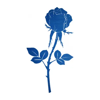 Samolepící dekorace Růže 003 pravá (65 - škrábaný kov modrý) SAMOLEPKA NA AUTO, NÁLEPKA, FÓLIE, POLEP, TUNING, VLASTNÍ TEXT, TISK, AUTOSAMOLEPKY.cz, POLEPY, OBRÁZEK, LOGO, 3D STICKERS