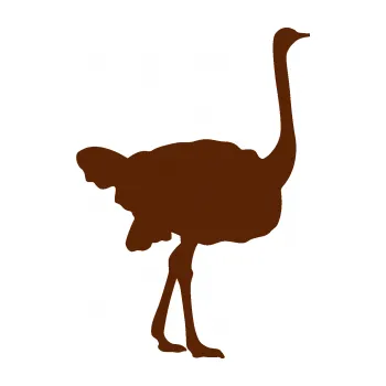 Samolepící dekorace Pštros 001 pravá (15 - hnědá) SAMOLEPKA NA AUTO, NÁLEPKA, FÓLIE, POLEP, TUNING, VLASTNÍ TEXT, TISK, AUTOSAMOLEPKY.cz, POLEPY, OBRÁZEK, LOGO, 3D STICKERS