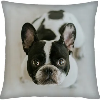 Polštář s motivem psa 35 buldoček Mybesthome 40x40 cm Varianta: Povlak na polštář, 40x40 cm