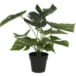 Clayre & Eef Monstera Deliciosa v…